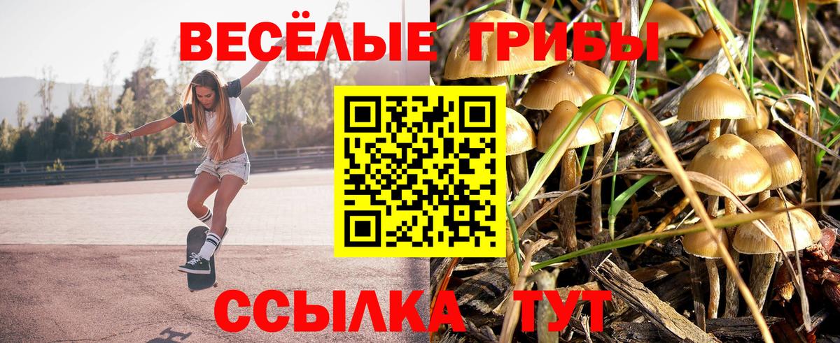Бийск  Псилоцибиновые грибы Magic Shrooms  Вход с VPN 