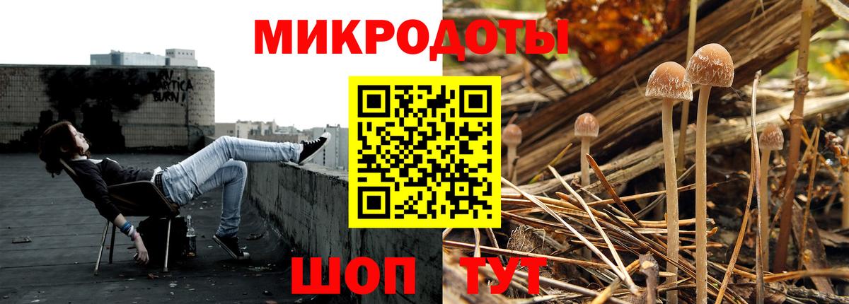 Псилоцибиновые грибы Cubensis Бийск