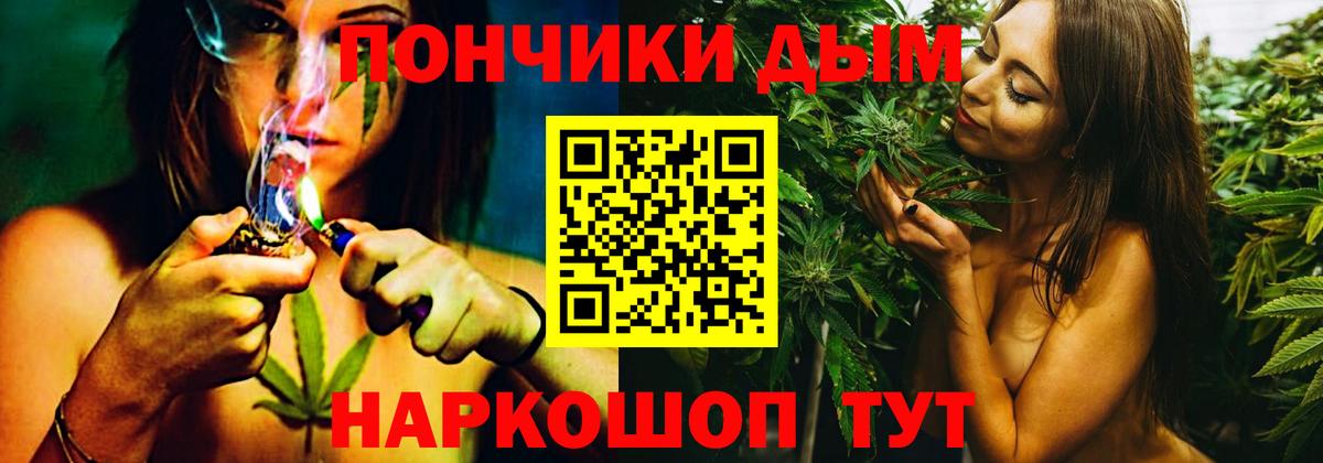 Бошки Шишки гибрид Бийск
